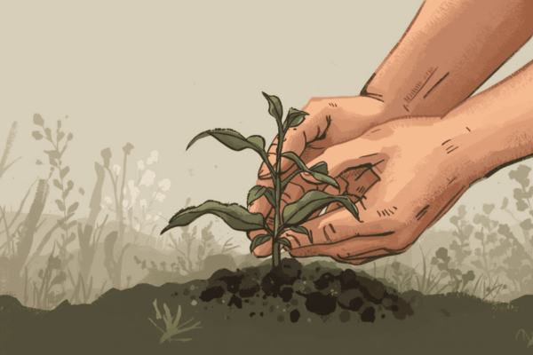 Growth Has Slowed, It’s Time for Strategic Intervention